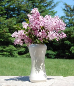 lilac 257x300 lilac