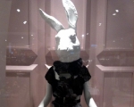 bunny-in-the-glass-case